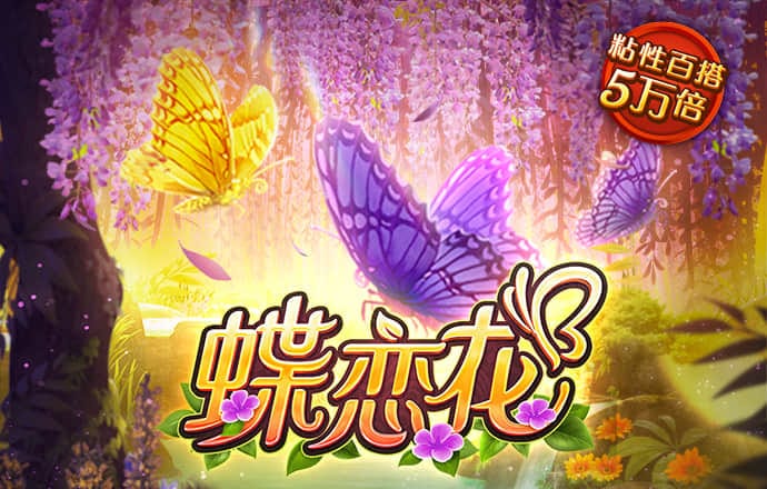 一码一肖100准打开码结果